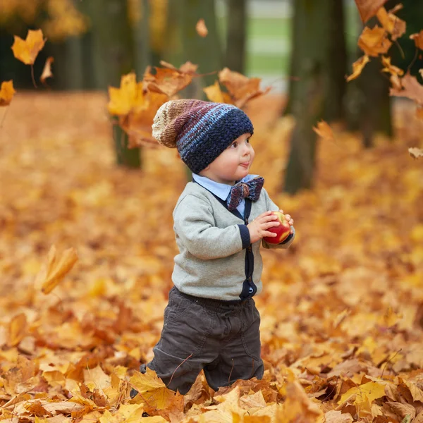 Őszi park-aranyos kis bébi — Stock Fotó