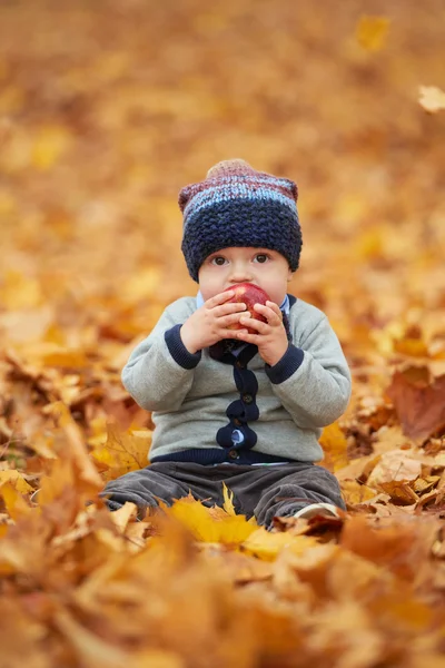 Cute little baby in autumn park — Stock Photo, Image