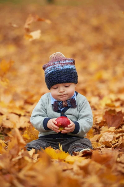 可爱的小宝宝，在秋天的公园 — 图库照片