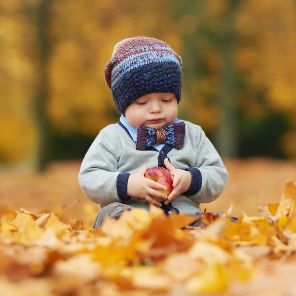 Schattige kleine baby in herfst park — Stockfoto