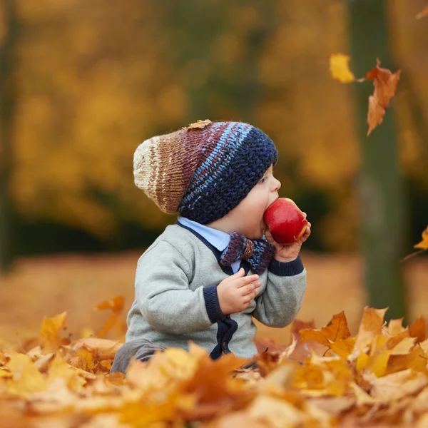 Söt liten baby i höst park — Stockfoto