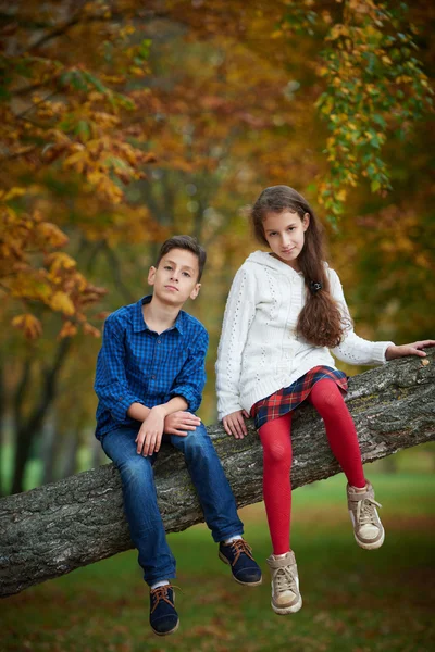 Menino e menina no parque de outono — Fotografia de Stock