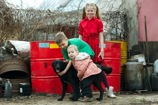 Děti hrají na skládky se psem — Stock fotografie