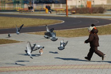 yakalama ve güvercinler ile oynarken küçük çocuk