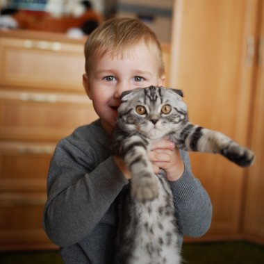 küçük komik çocuk hugs kedi