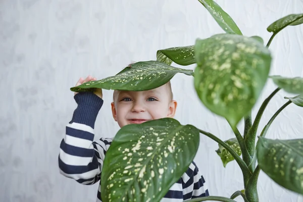 Junge und Blume zu Hause — Stockfoto