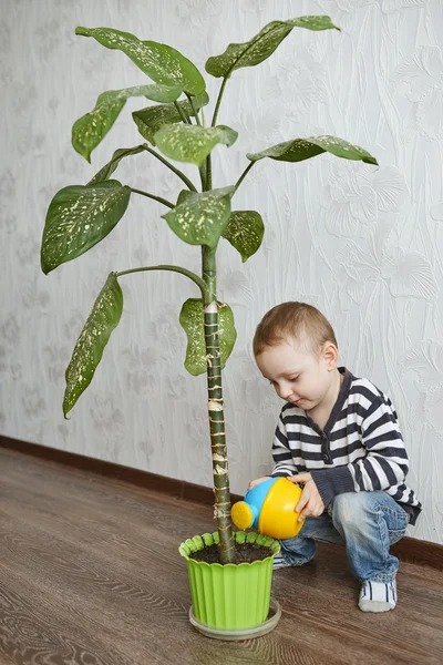 少年と自宅の花 — ストック写真