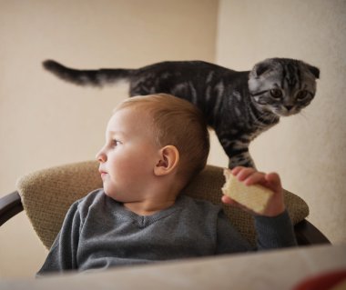 küçük çocuk gıda kedi ile paylaşır.