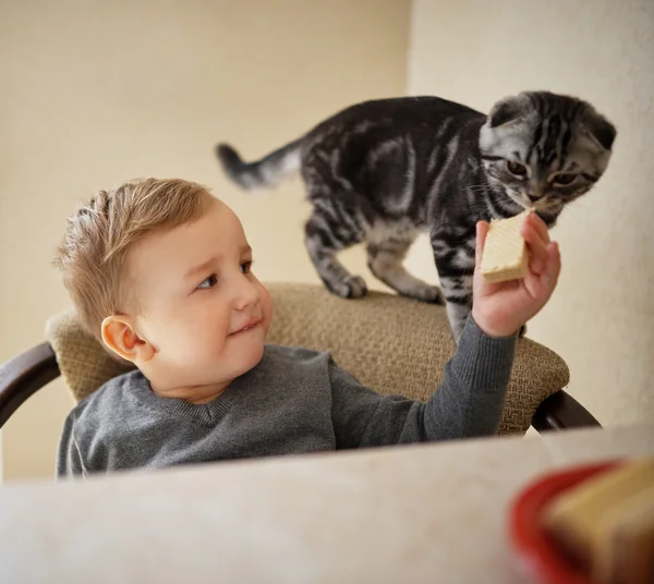 Little boy shares food with cat — Stock Photo, Image