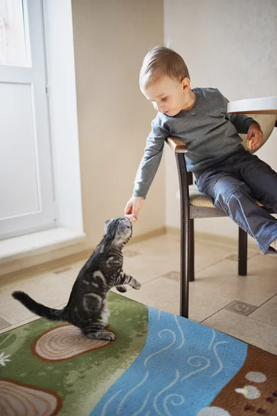 Маленький хлопчик ділиться їжею з кішкою — стокове фото