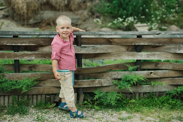 Фото маленького счастливого мальчика — стоковое фото