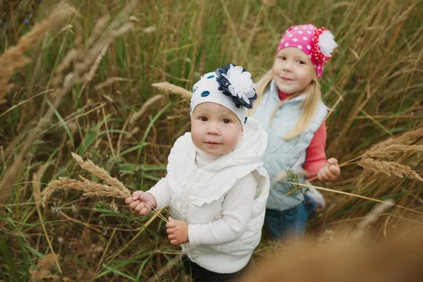 Meninas na grama alta retrato — Fotografia de Stock