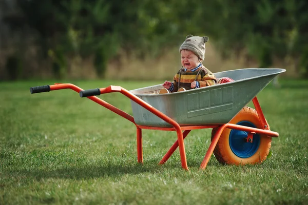 Schattige kleine jongen zitten in kruiwagen — Stockfoto