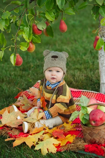 Little cute boy with the harvest — Stock Photo, Image