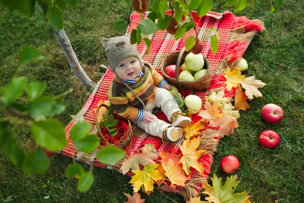 Piccolo ragazzo carino con il raccolto — Foto Stock