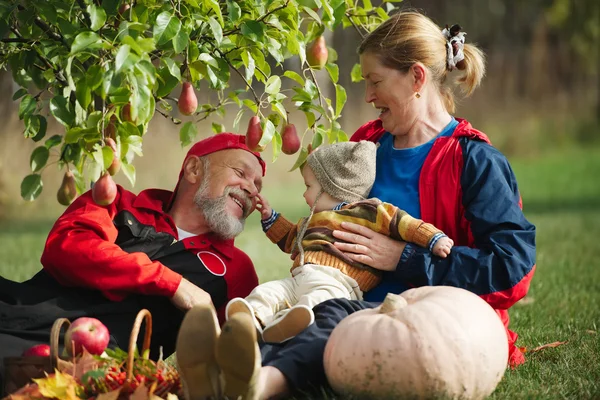 Nonno e nonna felici con nipote — Foto Stock