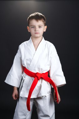 Çocuk uygulama karate
