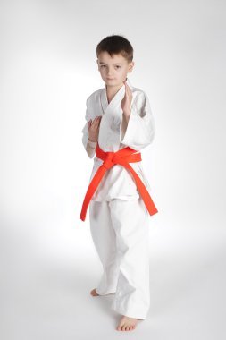 Çocuk uygulama karate