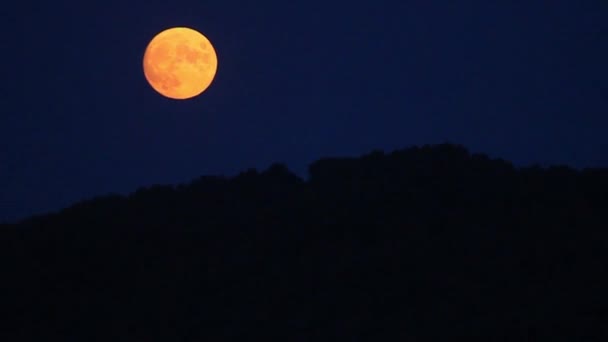 Lua Céu Escuro Movendo — Vídeo de Stock