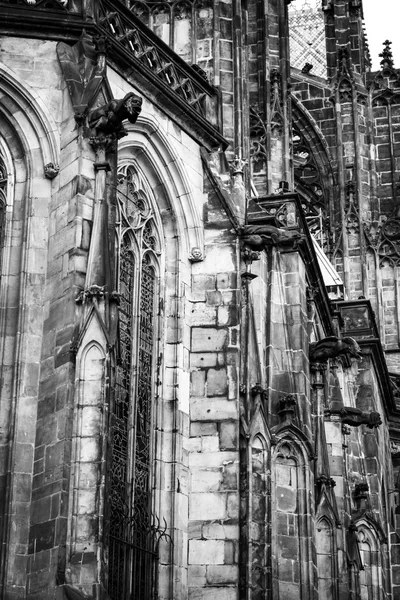 Praga St Vitus Cathedrale 06 — Foto de Stock