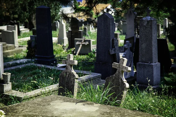 Graveyard 01 — Stockfoto