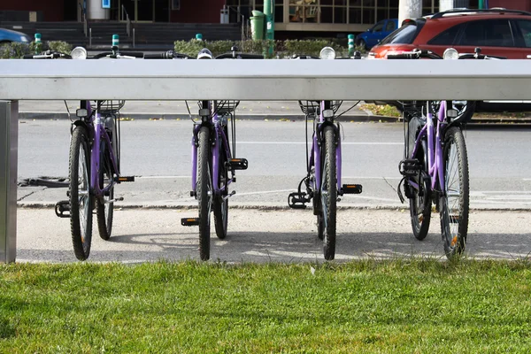 Fahrradverleih — Stockfoto