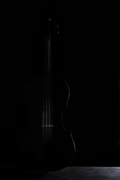 Violin black and white artistic conversion rim lighting — Stock Photo, Image