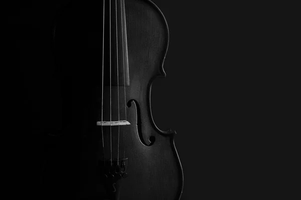 Violin black and white artistic conversion rim lighting — Stock Photo, Image