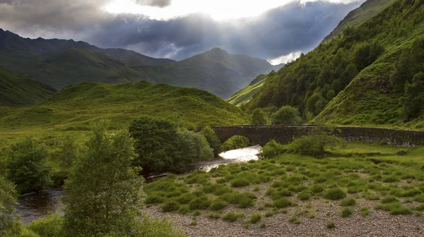 雨の後のスコットランドの高地で青々 と茂ってグレン — ストック写真