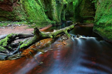Finnich Glen manzara fotoğrafçılığından akan kırmızı suyu olan küçük bir nehir.