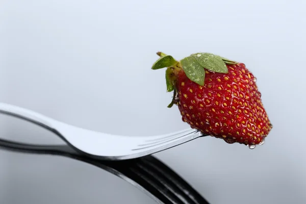 Morango vermelho e molhado em uma forma com reflexão em surfac brilhante — Fotografia de Stock