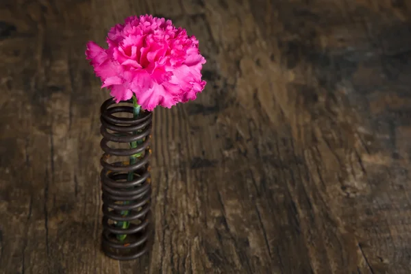 Enkelvoudige bloem in metalen veer op grunge hout oppervlak artistieke co — Stockfoto