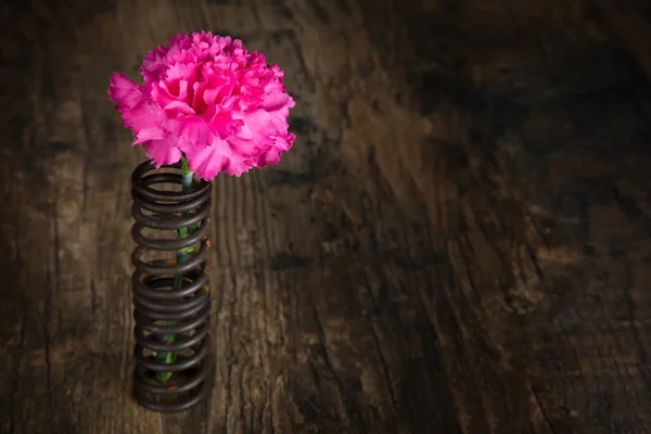 Flor única en primavera de metal en superficie de madera grunge artística co — Foto de Stock