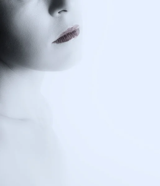 Alto ritratto d'arte chiave della bocca della donna e mento su whi luminoso — Foto Stock