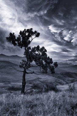 Dağ manzarası ile ağaç ve dramatik bulutlar sanatsal conver