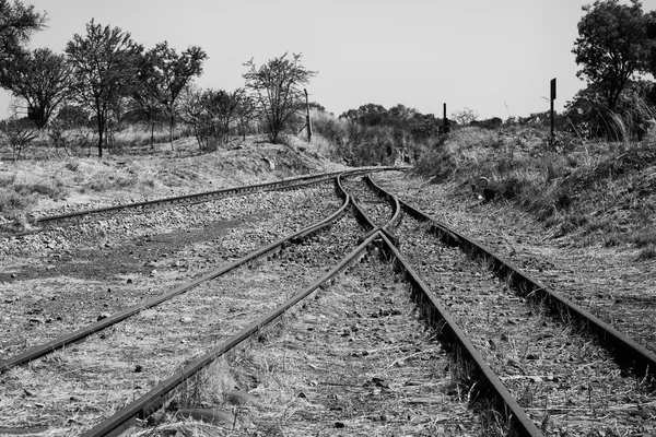 Old overgrown used railway tracks intersection merge artistic co — Stock Photo, Image