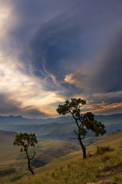 Paesaggio montano con albero e nuvole drammatiche — Foto Stock