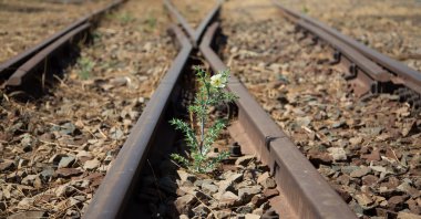 Eski kullanılan demiryolu parça ve renkli küçük çiçek