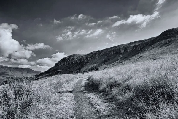 Dalen i berget Drakensberg i Sydafrika och gräs slo — Stockfoto