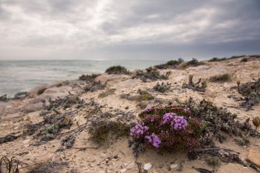 Geç akşam manzara okyanus üzerinde kayalık sahil ağır bulutlar bl