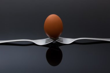 Yumurta üzerinde iki birbirine çatal parlak yansıma ile Dengeleme