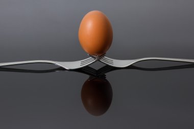 Yumurta üzerinde iki birbirine çatal parlak yansıma ile Dengeleme