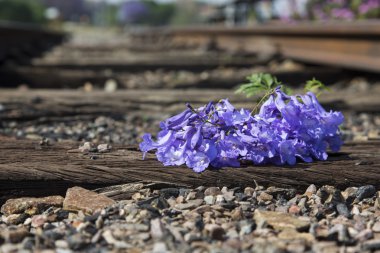 Eski kullanılan demiryolu parça ve renkli küçük çiçek