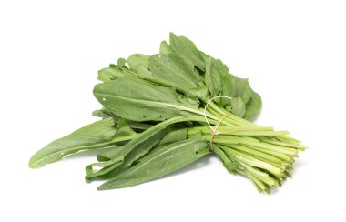 Beyaz arkaplanda yeşil kuş sürüsü