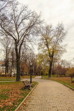 Güz manzaralı şehir parkı bulutlu bir günde.