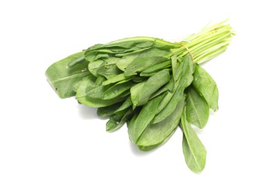 Beyaz arkaplanda yeşil kuş sürüsü