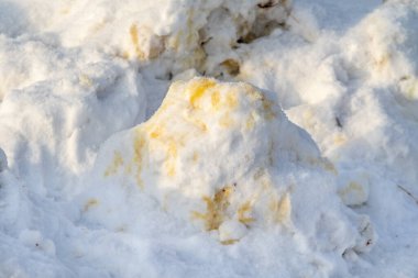Beyaz karda sarı hayvan idrarı izleri..