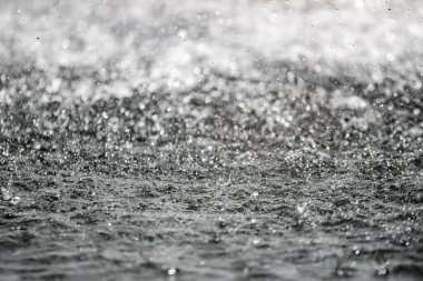 Bulanık arka plan ile arka planda sıçraması su büyük damla