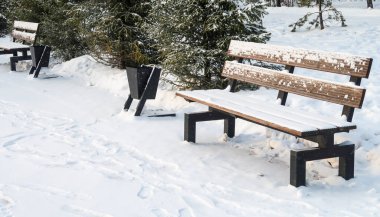 Kışın tahta park bankında, karda, doğa manzarasında..