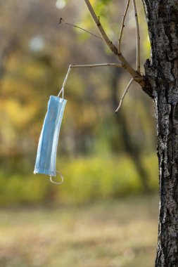 Sonbahar parkındaki bir ağaca tıbbi maske asılmış..